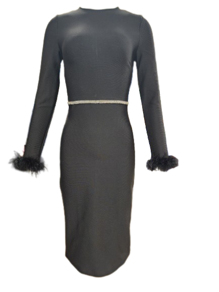 שמלה צנועה לנשים ומידות גדולות בצבע שחור עם חגורת יהלומים במותן ונוצות בשרוול